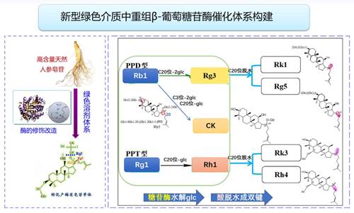 https://news.nwu.edu.cn/__local/5/17/66/C1858AC8C0DCE8FF0F7BF6DAD76_9C791AF5_1D261.jpg